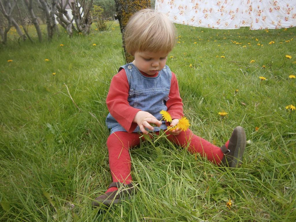 Sireksstadir Farm Holiday Vopnafjorthur المظهر الخارجي الصورة