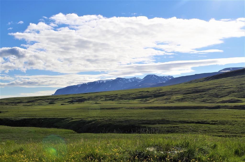 Sireksstadir Farm Holiday Vopnafjorthur المظهر الخارجي الصورة