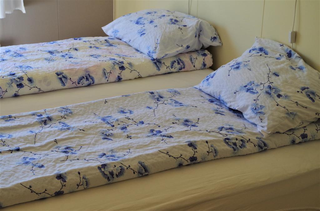 Sireksstadir Farm Holiday Vopnafjorthur المظهر الخارجي الصورة